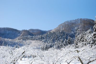 雪景色
