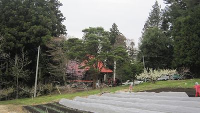 布施稲荷神社