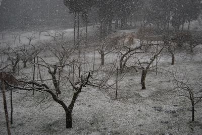 雪景色