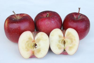 レッドゴールド